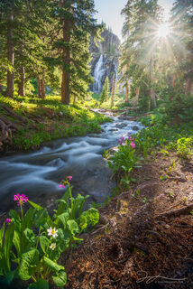 Fairy Tale Stream