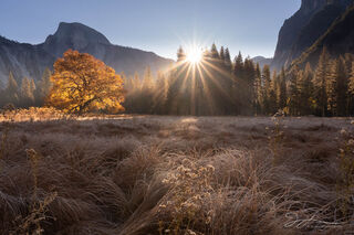 Yosemite Morning