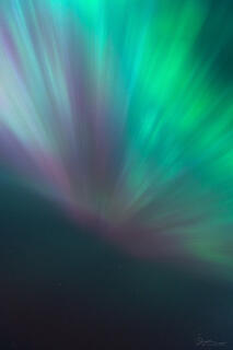 Pink and green auroral corona rays radiate down from the sky in Yellowstone.
