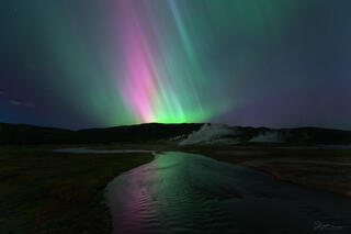 Pink and green aurora pillars dance in the sky above the Firehole River in Yellowstone.
