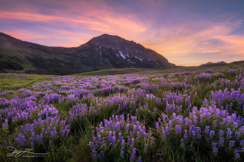 Colorado