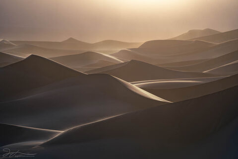 Mojave Gold
