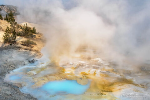 Yellowstone National Park