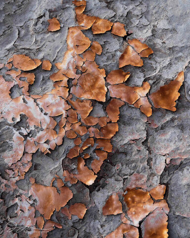 Rusted
