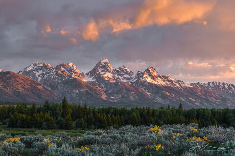 Grand Teton National Park