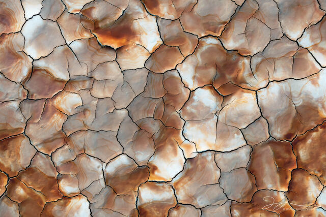 Abstracts in Nature