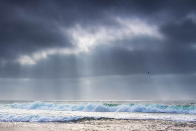 The Coast