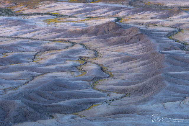 Desert Southwest
