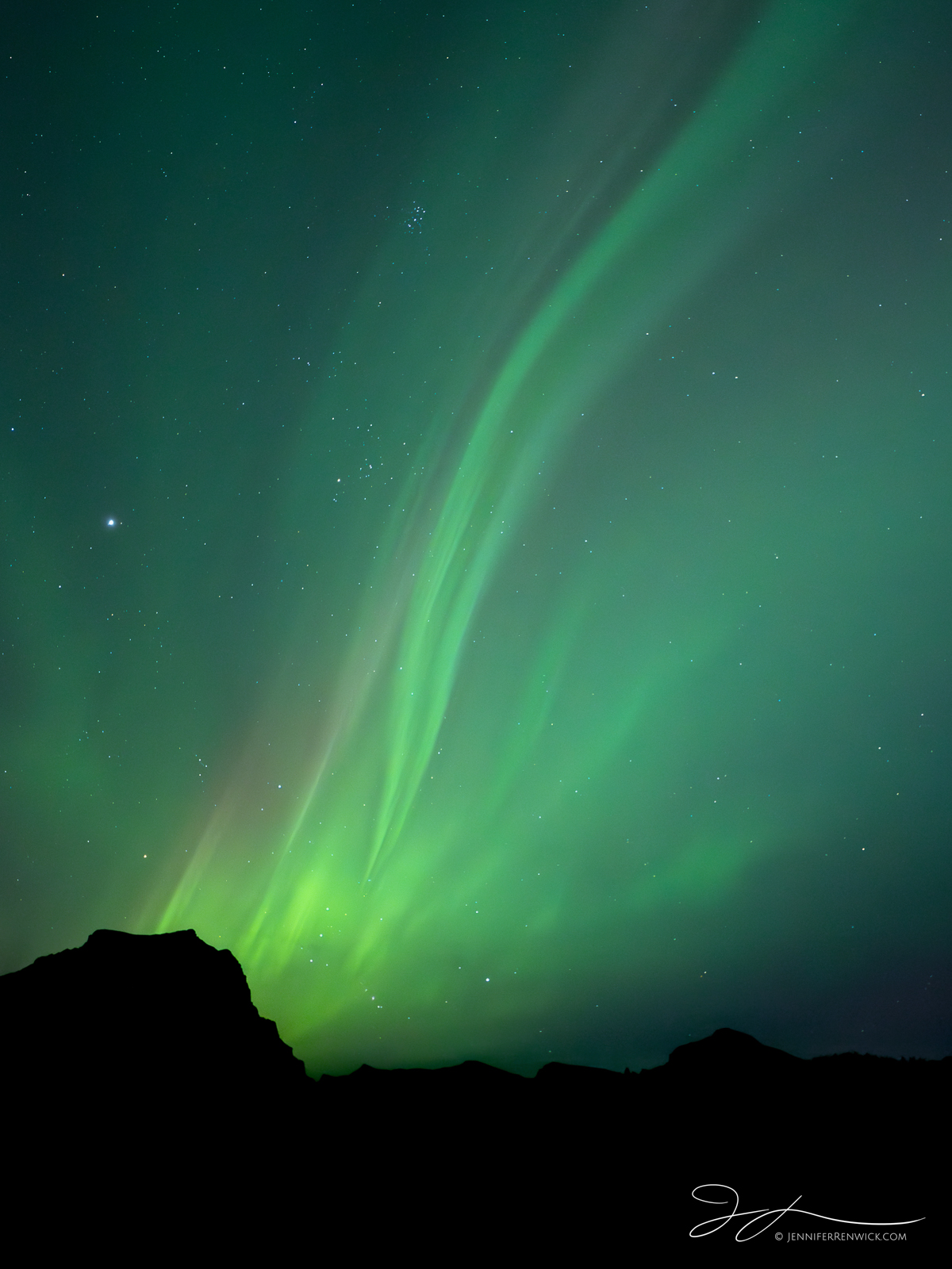 Streaks of green aurora cover the sky above Logan Pass.