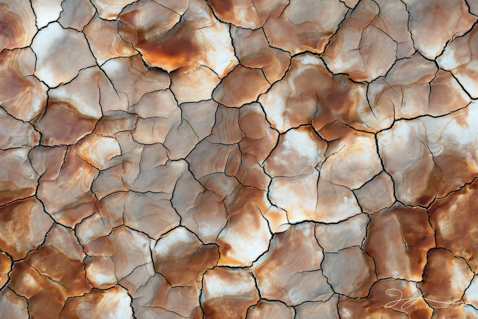 Colors swirl together to create a pattern in some smooth mud cracks on the desert floor.