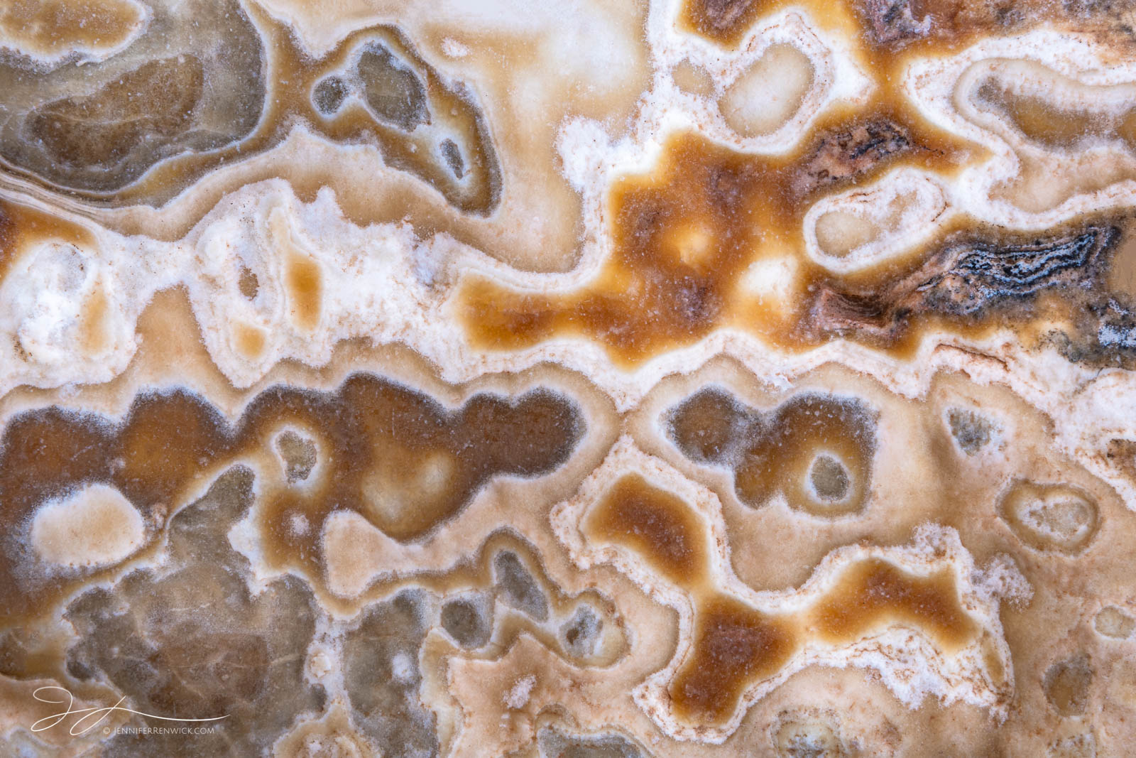 An array of patterns in the rocks of a canyon wall create a mesmerizing little abstract scene.