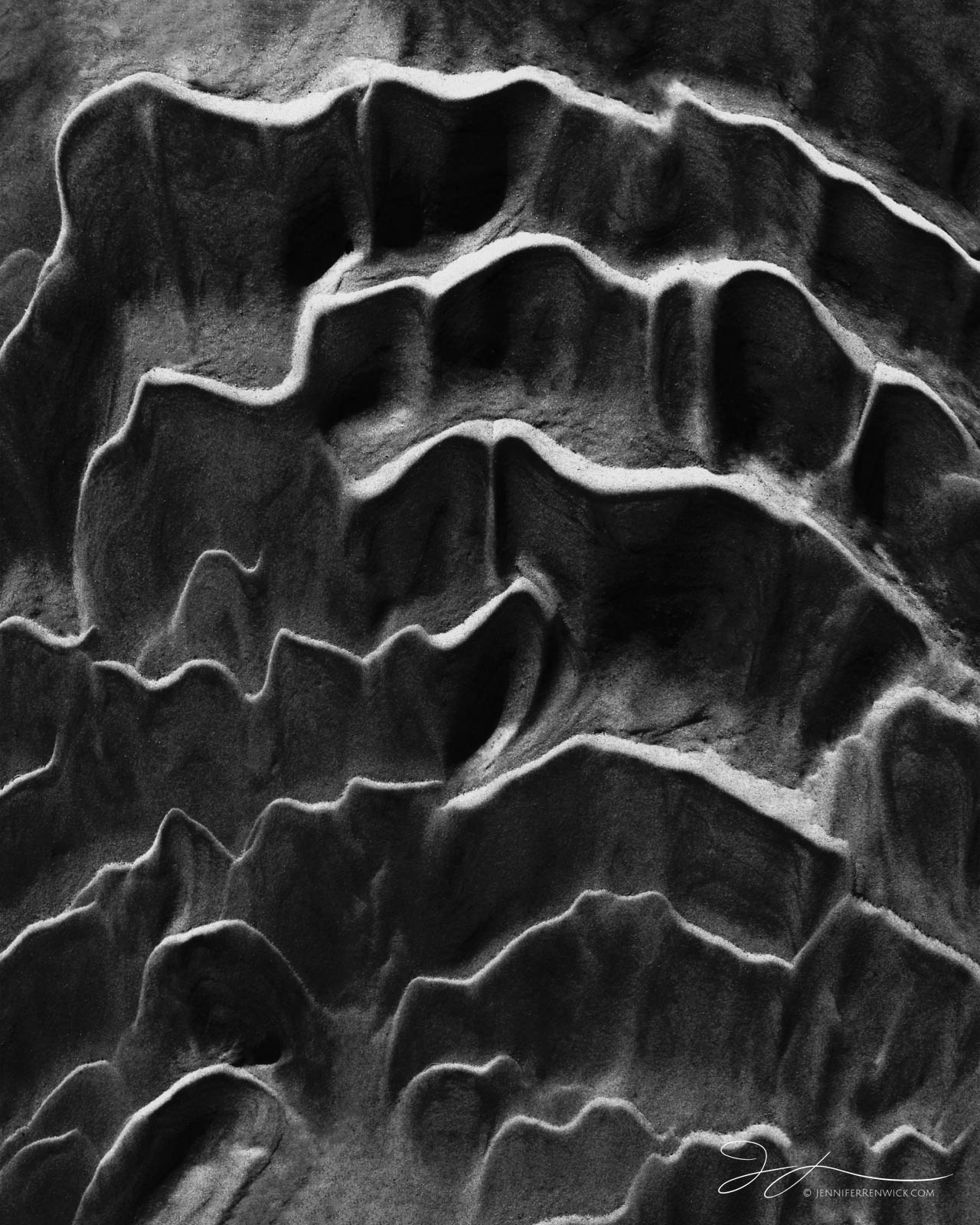 Desert sand ripples resemble corrugated cardboard.  This image is part of my "Desert Textures" photo project. You see the full...