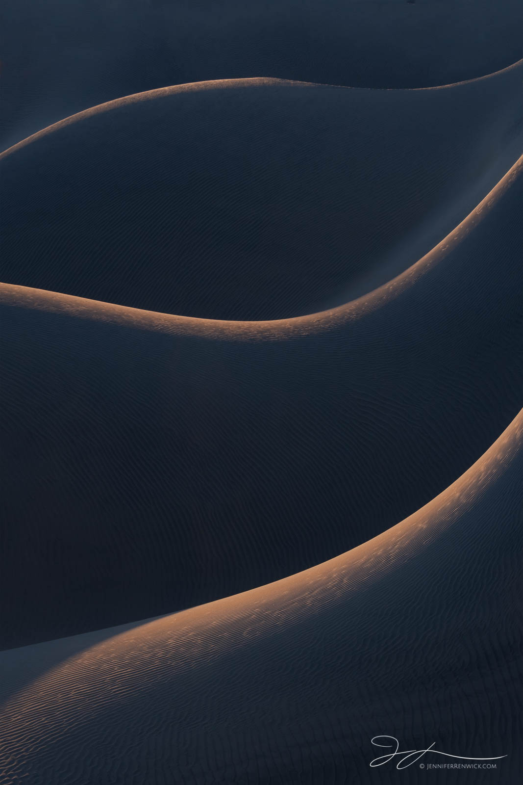 Sand dune ridges illuminate at sunrise creating an abstract look.