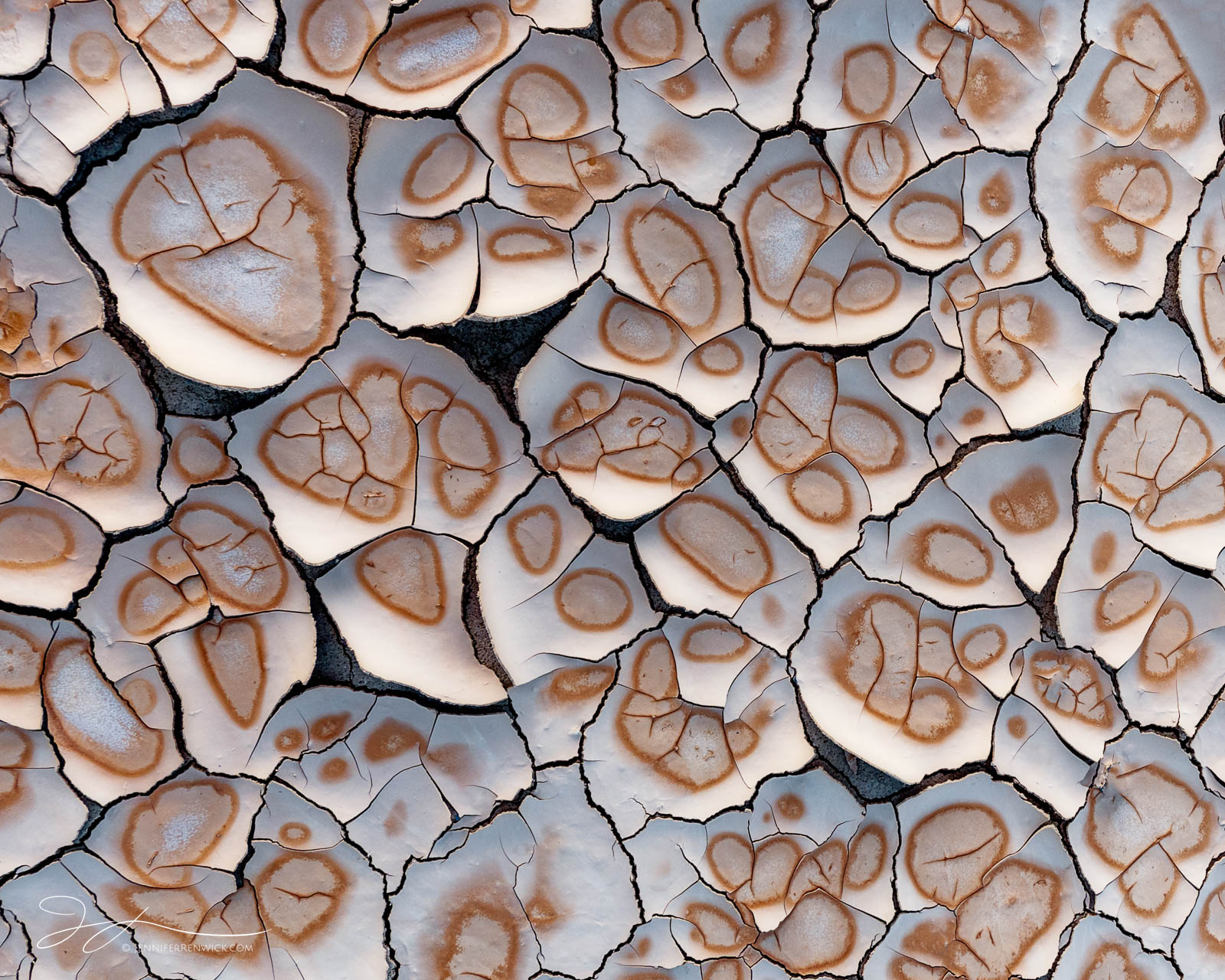 Mud cracks with circular patterns create a fun, abstract pattern on the desert floor.