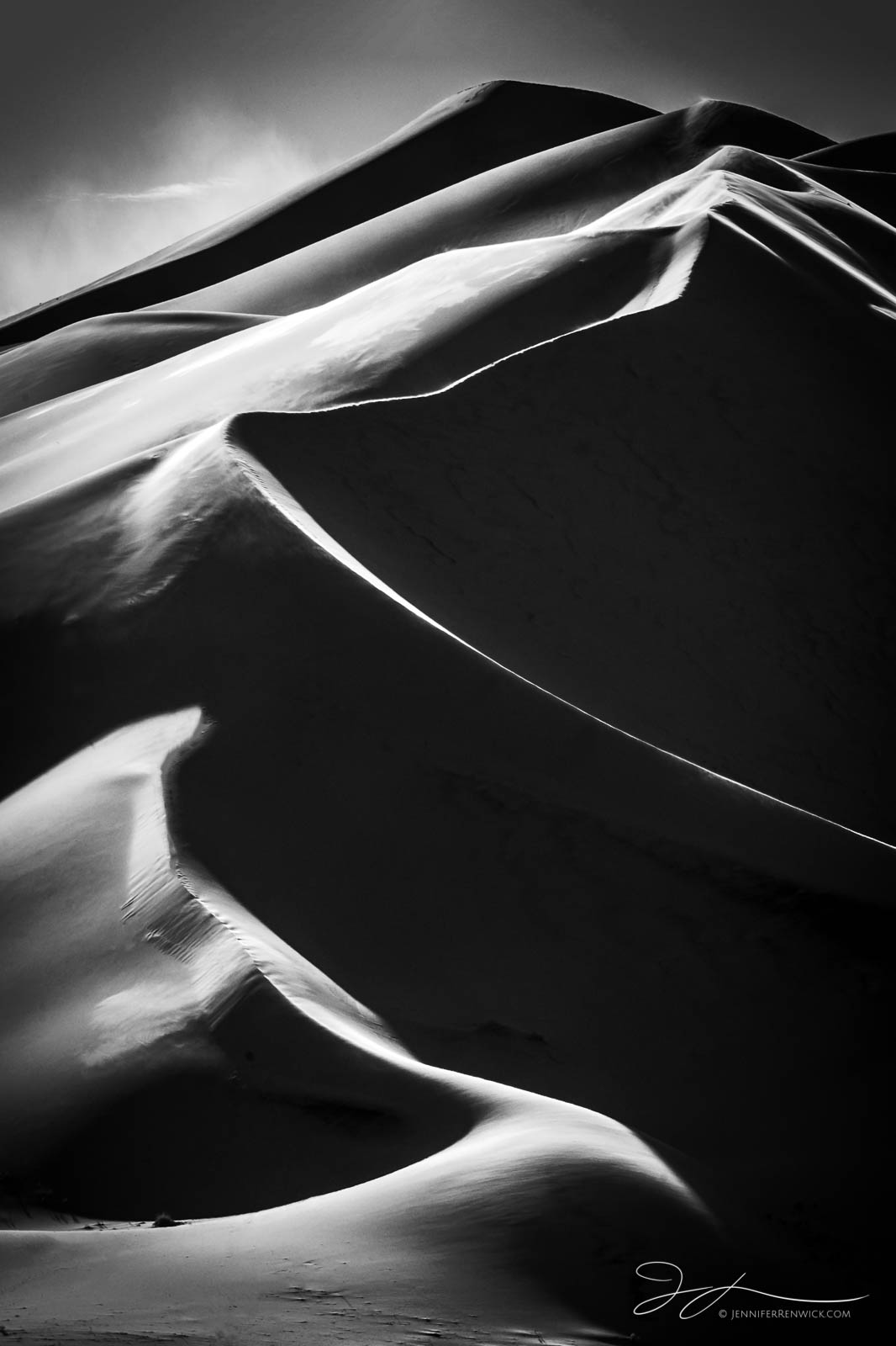 Tall sand dunes catch the light and cast shadows creating a stunning dune portrait.