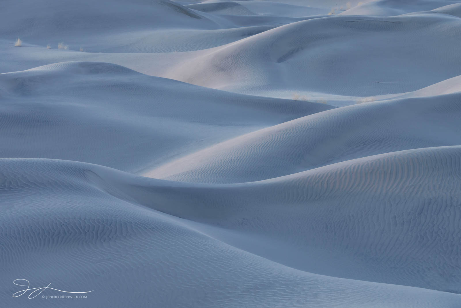 Small dunes take on a blue tone during twilight.