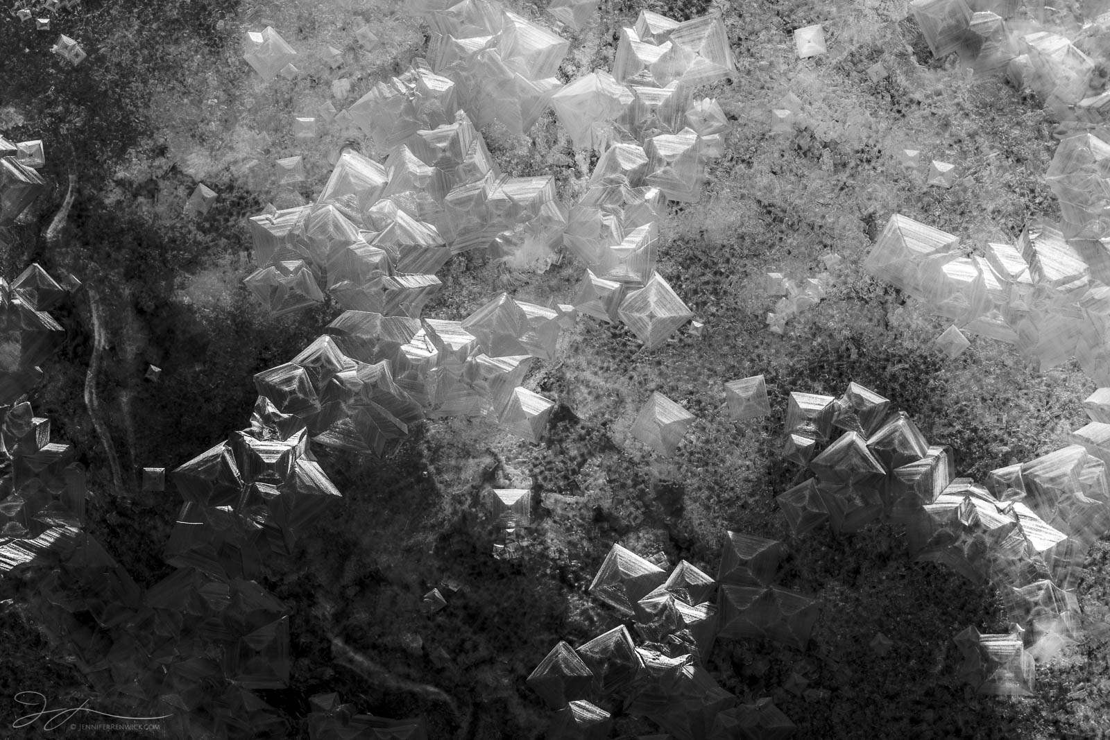 Edge of Light Salt crystals catch the light on the edge of a shadow, creating texture and light play.