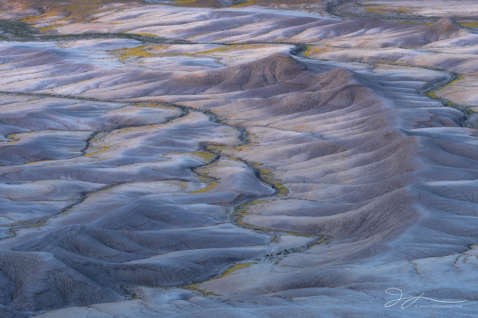 Badlands catch the last warm light of the day during a spring wildflower bloom.