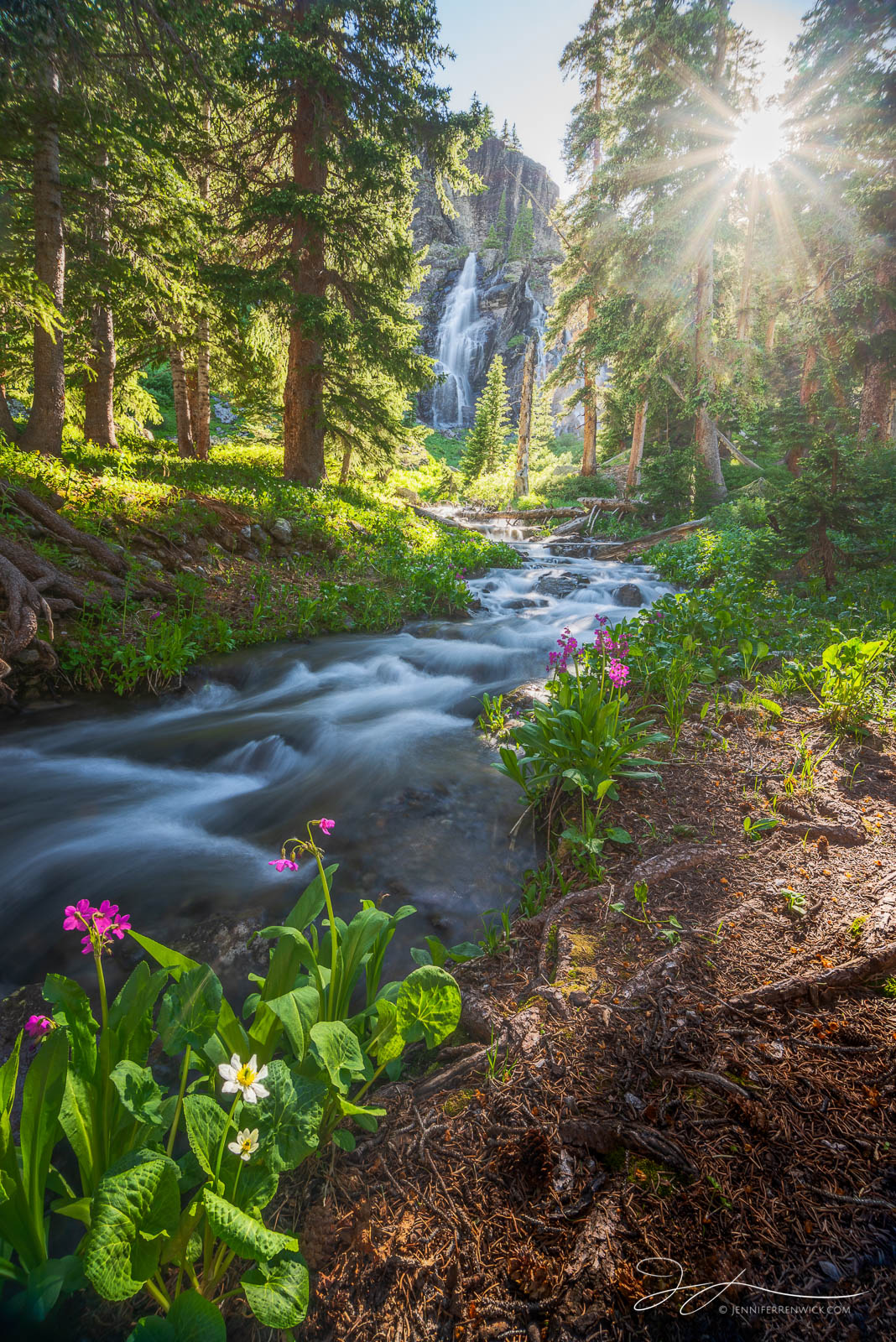 A quiet and peaceful scene looks right out of a fairy tale deep in the Colorado wilderness.