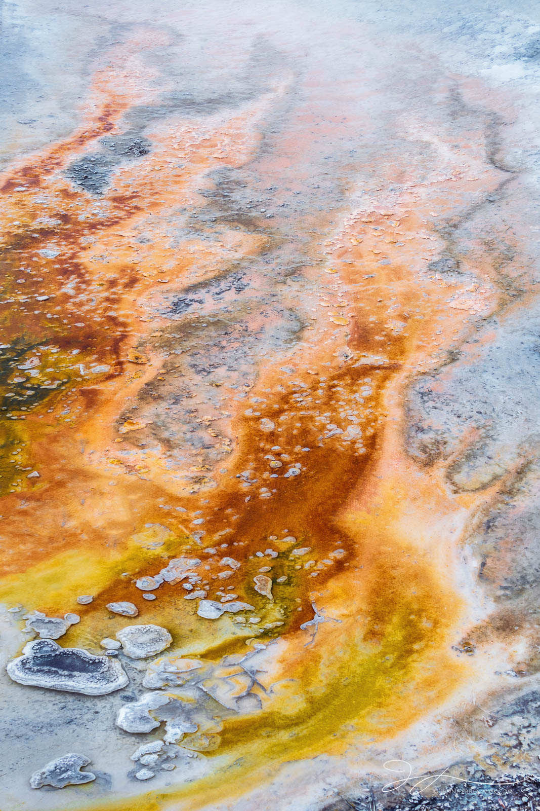 Thermophilic bacteria in the Upper Geyser Basin create flame patterns in the runoff from a hot spring.