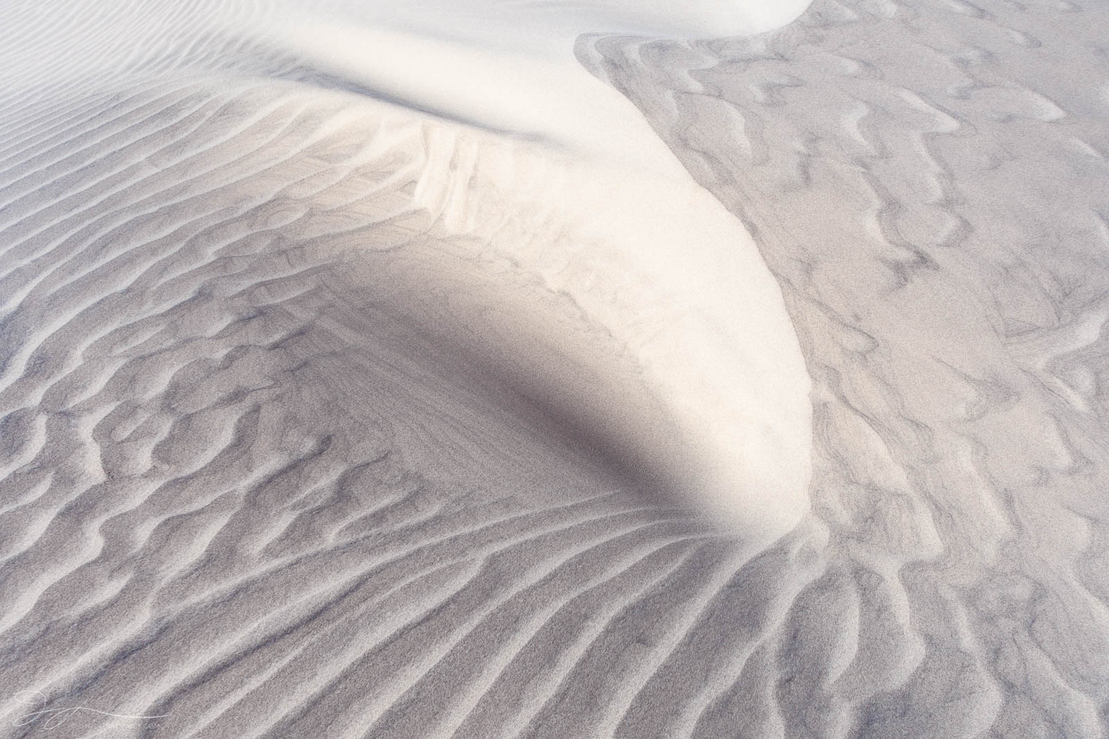 Gathered Sand appears to be gathering itself up on the side of a sand dune.