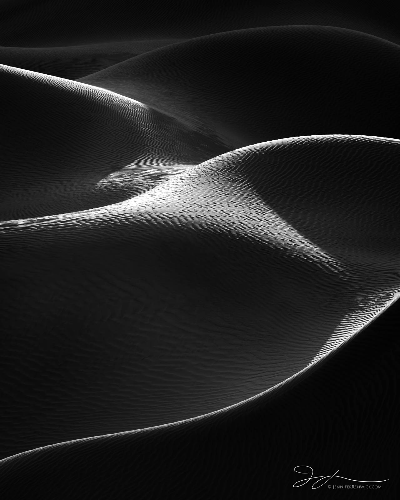 Sand dunes catch a kiss of light during sunrise.