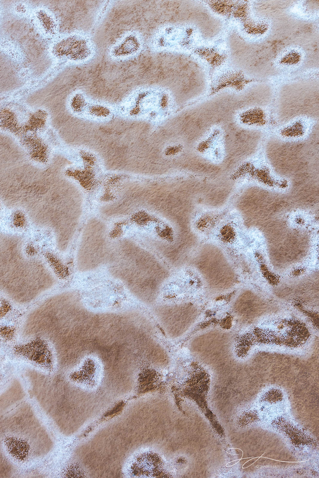 Salt and mud create unique patterns on the desert floor.