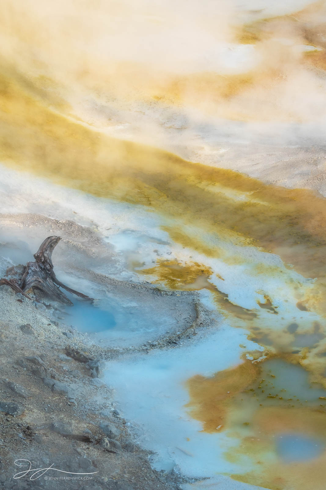 Colorful bacterial mats and steam swirl near a dead tree stump adjacent to Porcelain Springs creating a mysterious landscape.