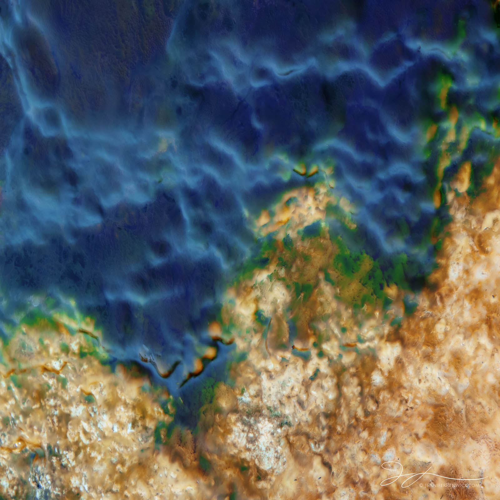 A mat of thermophilic bacteria appears to be "oozing" down a terrace near a hot spring in the Upper Geyser Basin.