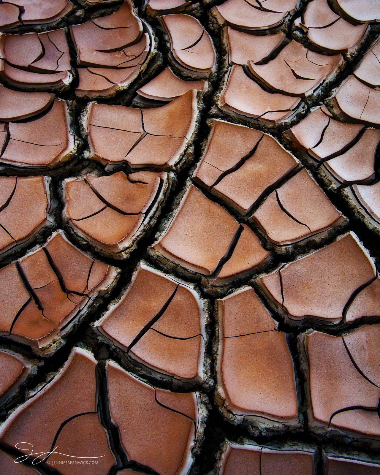Mud drying on the desert floor expands and cracks under the stress of the arid environment creating unique tiles.