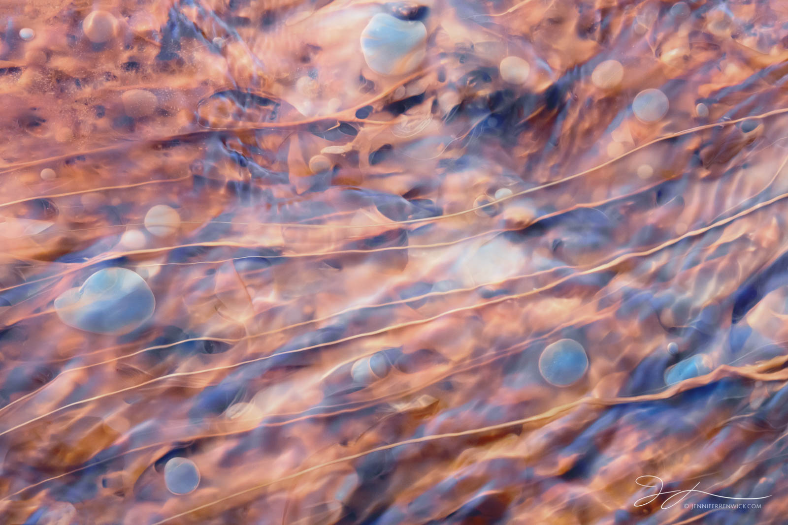 Small gas bubbles float along in a small stream in the Upper Geyser Basin.