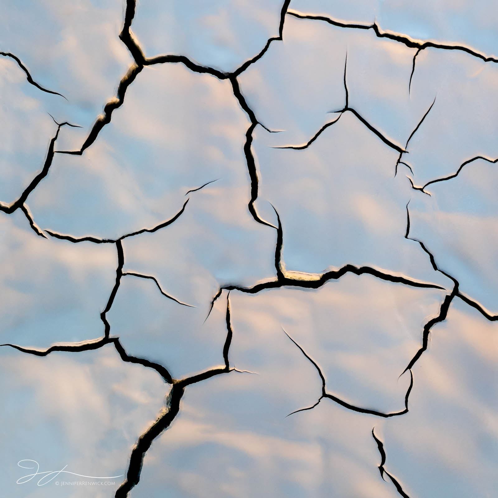 Freshly cracked mud picks up the blue of the sky as it reflects off the wet mud.