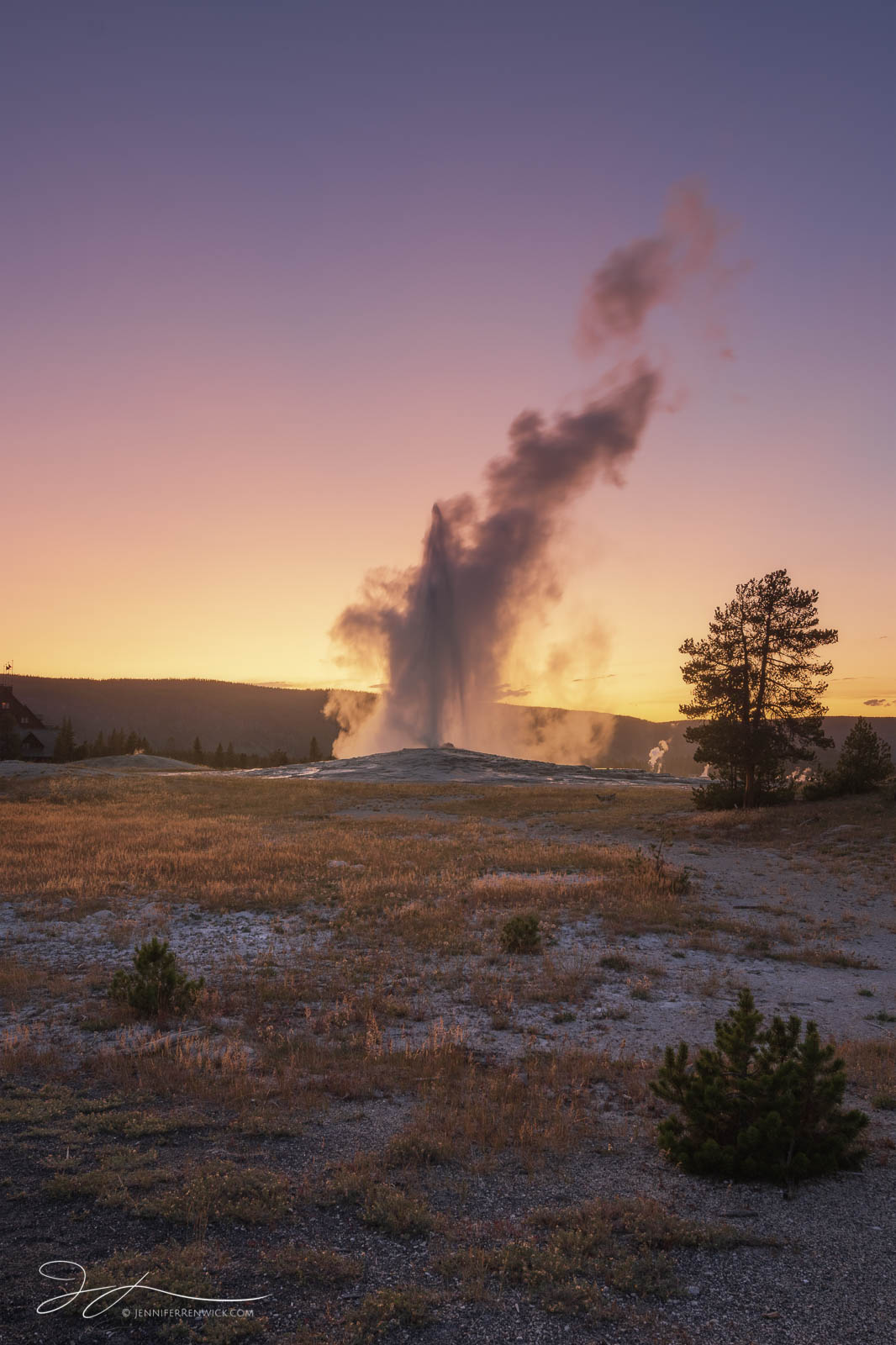 Old Faithful erupts under a purple sunset. The purple in the sky this particular evening was caused by a volcanic eruption on...