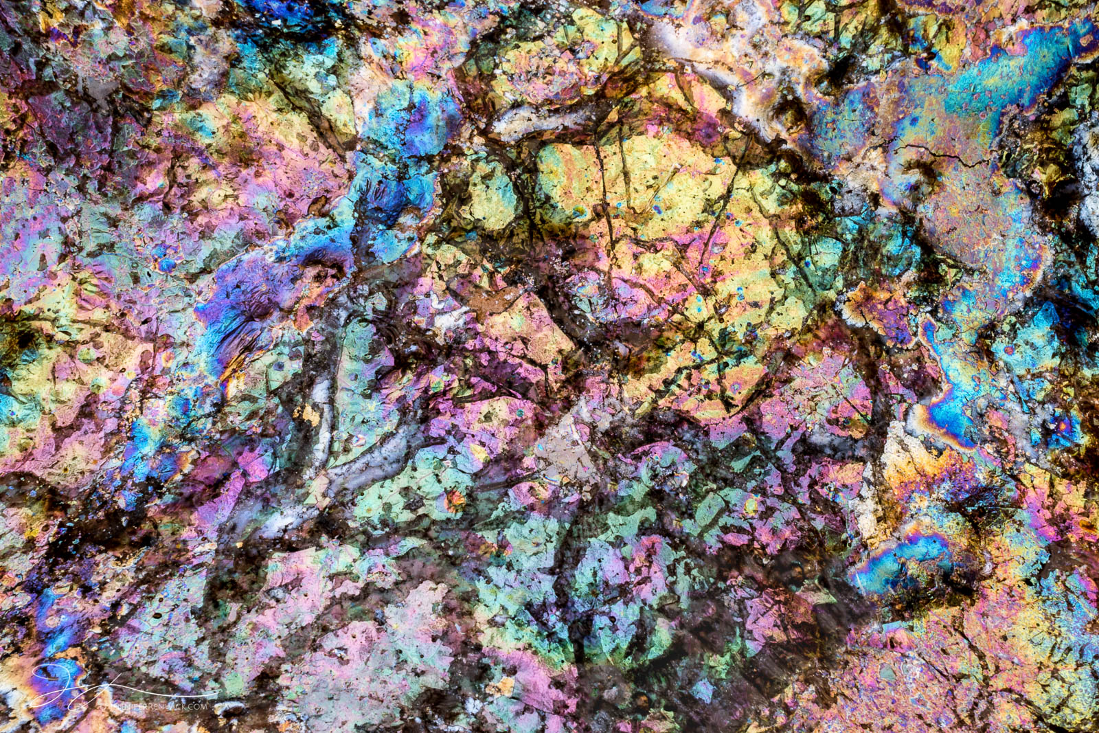 Softer colors highlight the texture of wrinkles in a pool of natural oils.