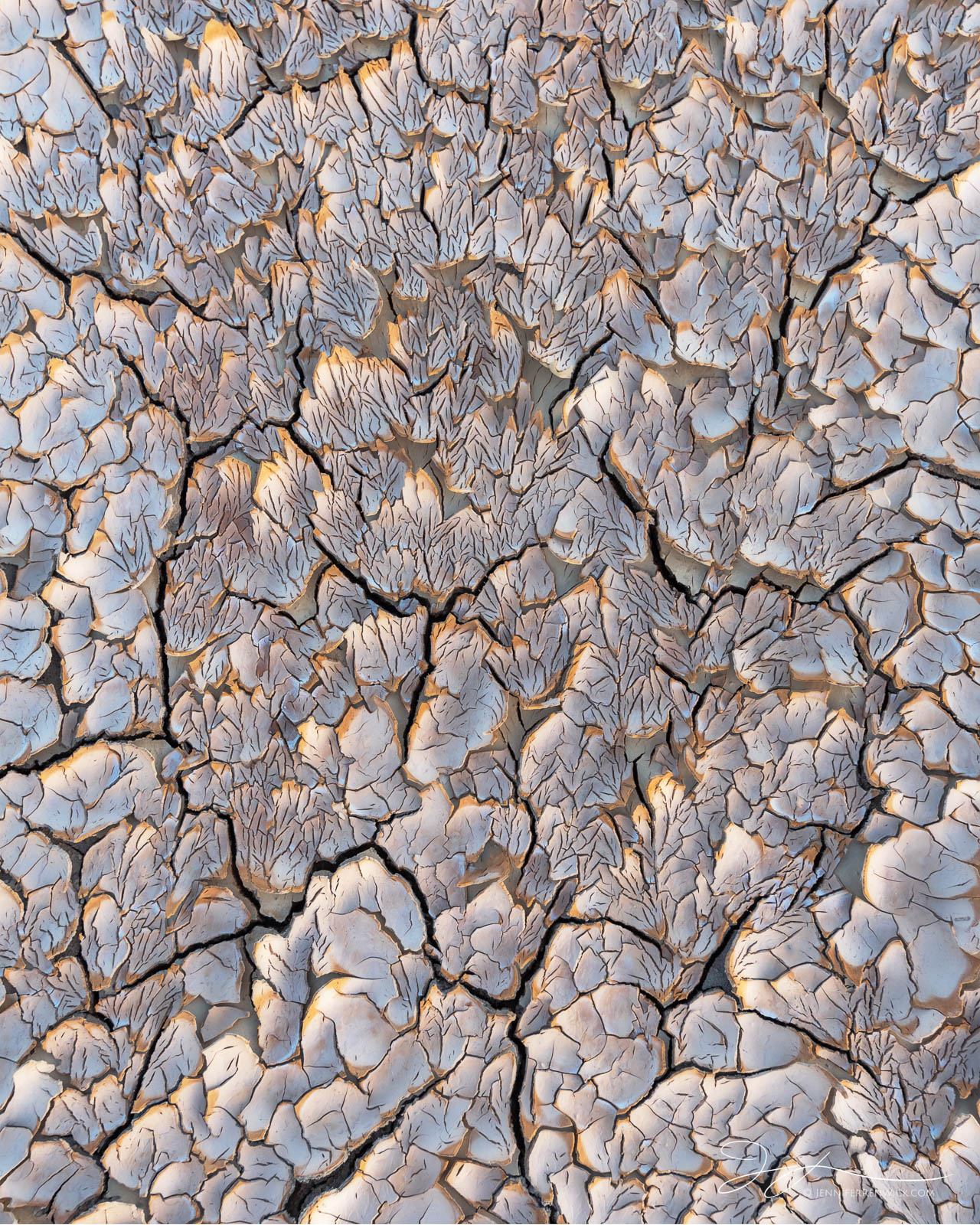 Mud peeling on the desert floor flakes up as it dries, creating a "ruffled" look.
