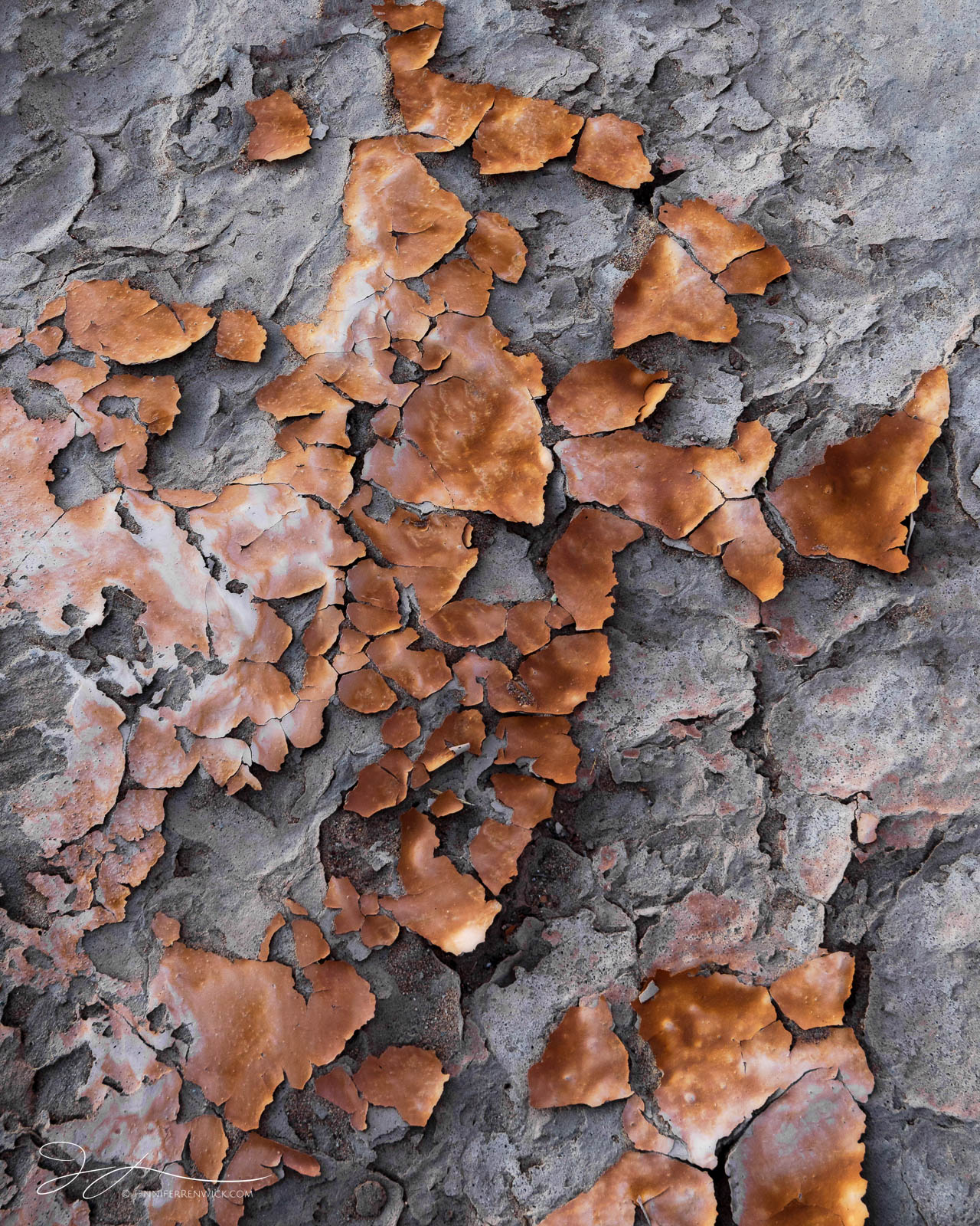 Dried mud peels and chips exfoliate on the floor of a playa.