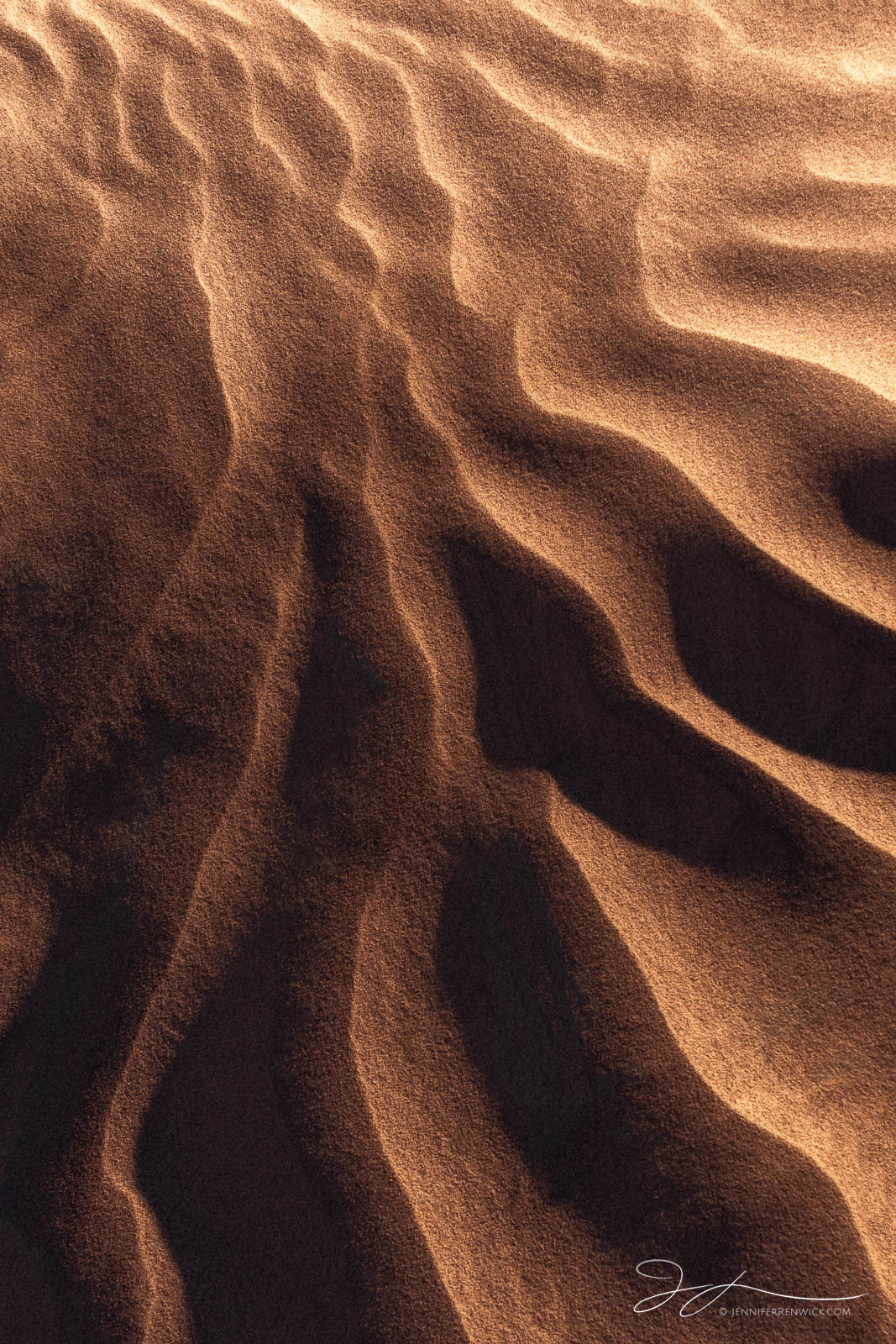 Sand ripples radiate out catching the last light before the sun disappears.