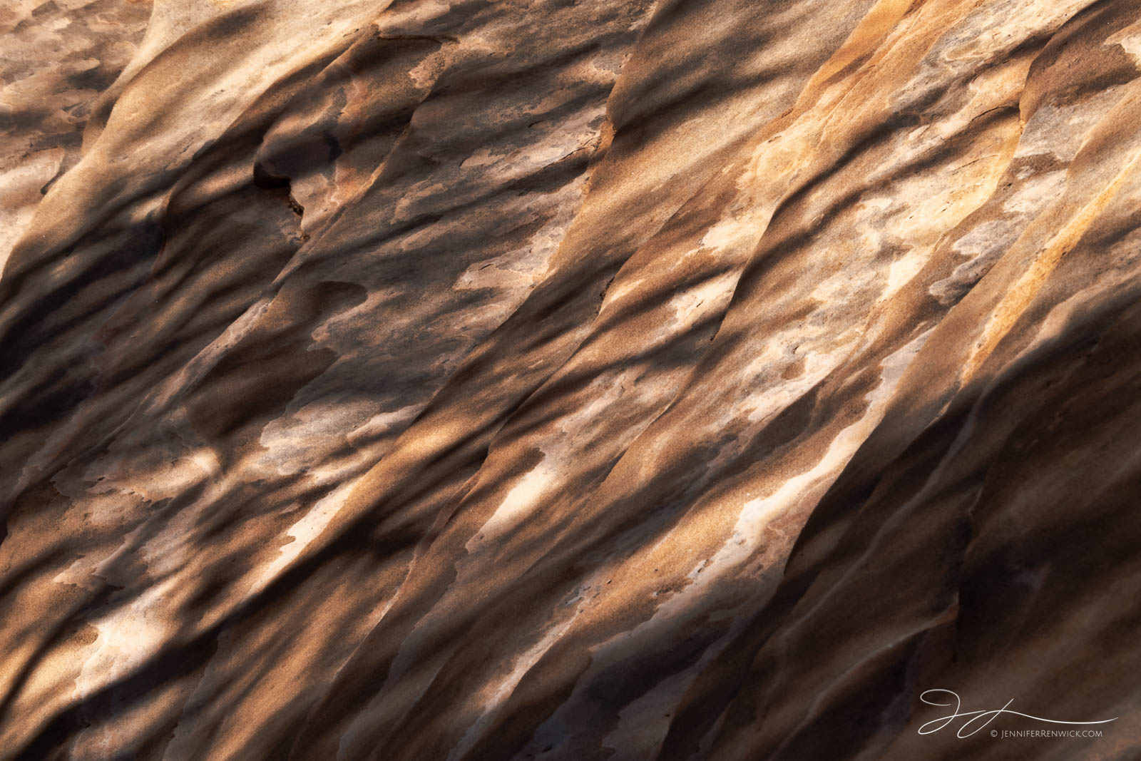 Light and shadow through tree branches cast interesting patterns on a sandstone rock face.