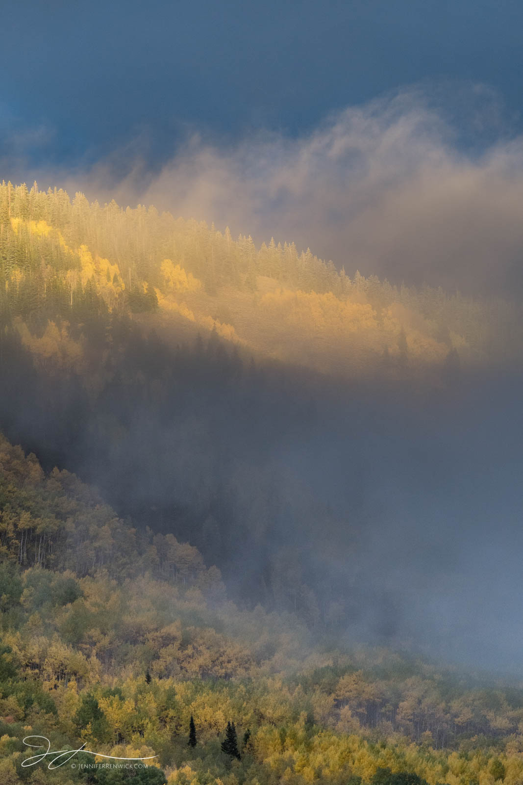 A hillside of aspen trees lights up during a clearing autumn storm.