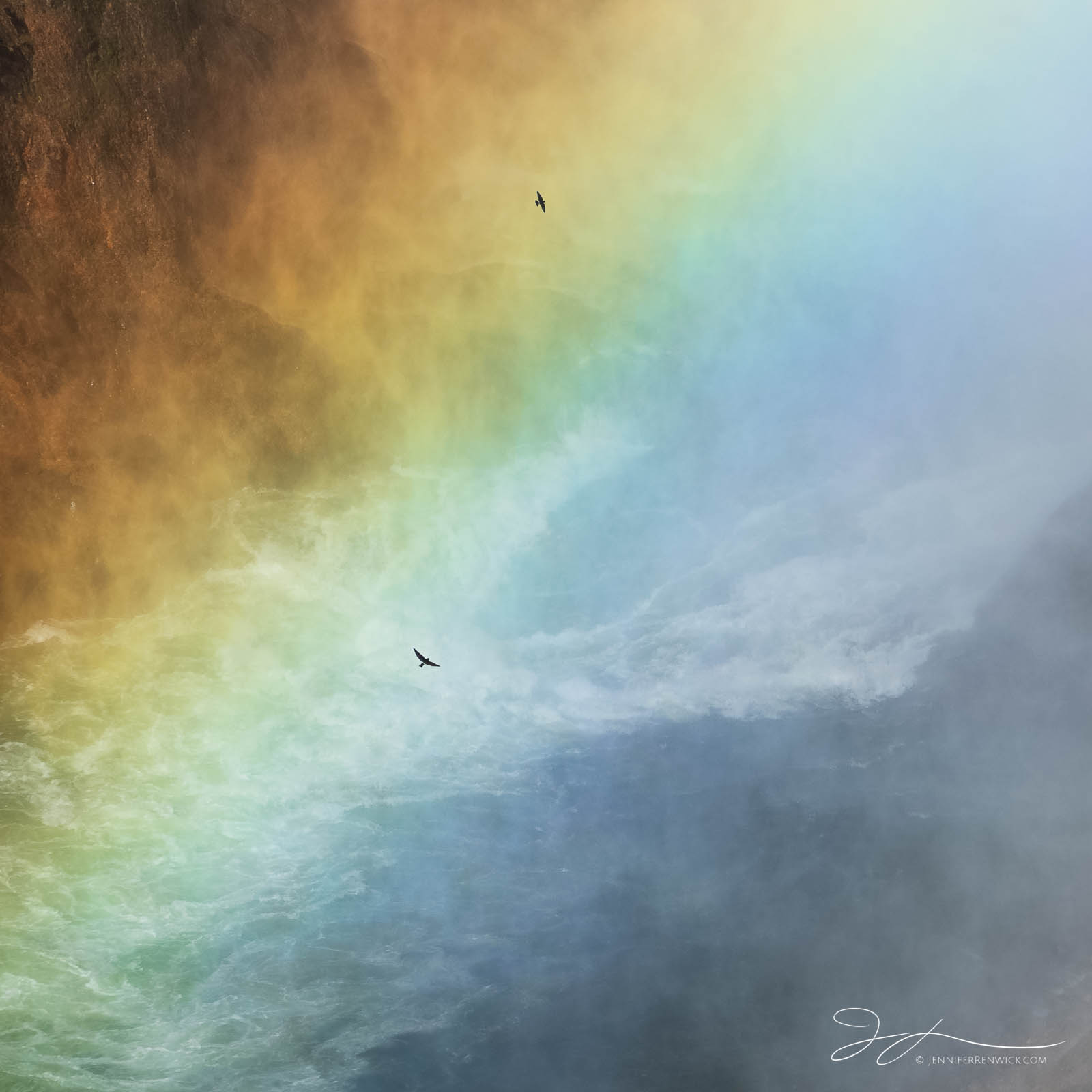 Violet-green swallows fly in and out of a rainbow created by a waterfall.