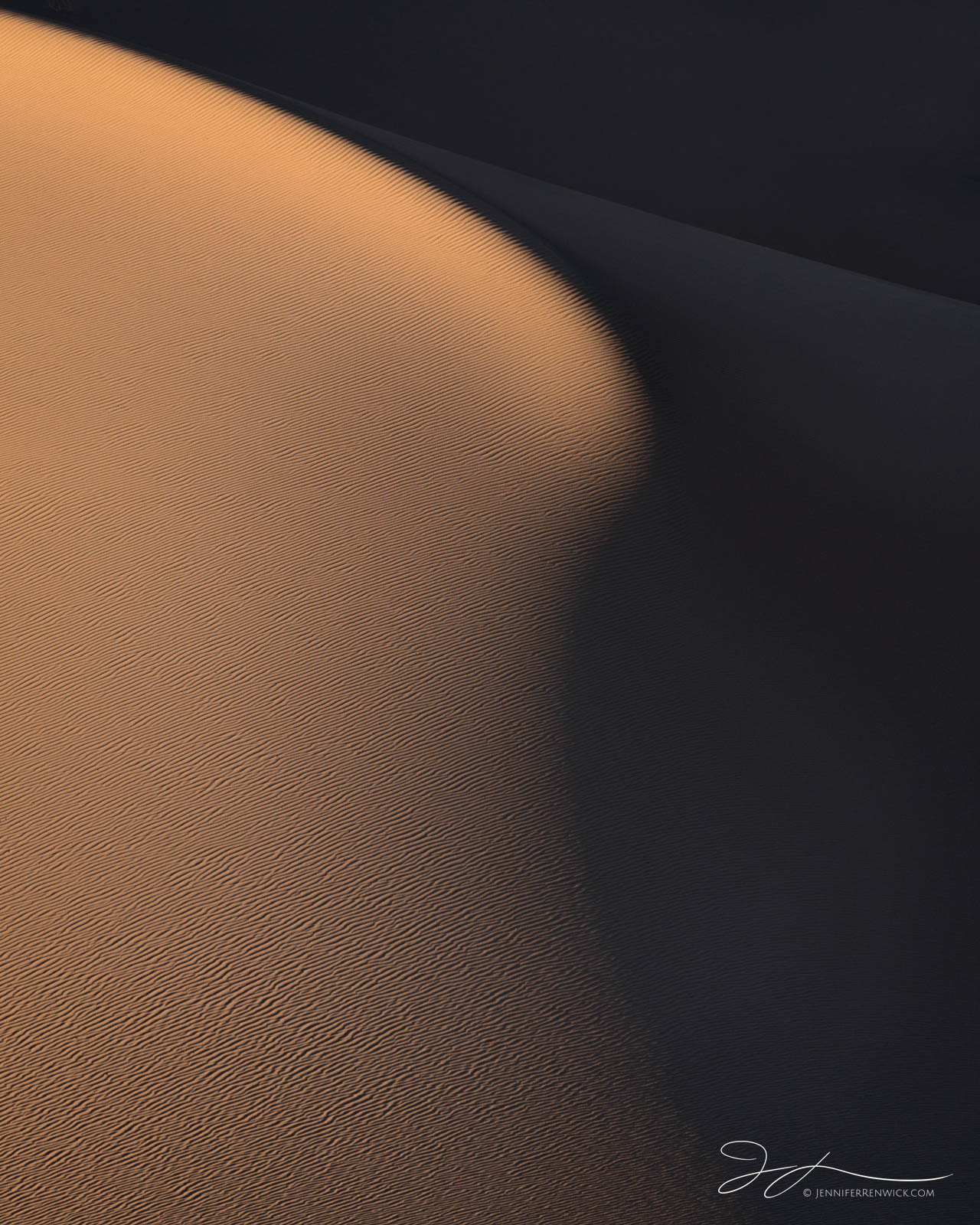 A sensuous curve of a dune catches the last light of day.