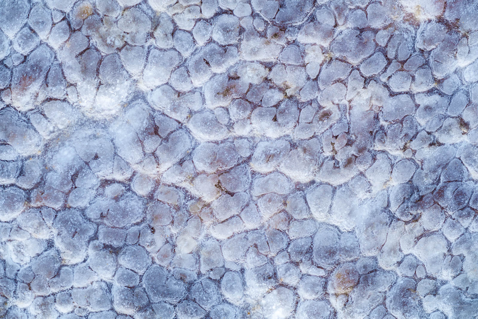 Snakeskin Unique patterns on the desert floor resemble snake scales.