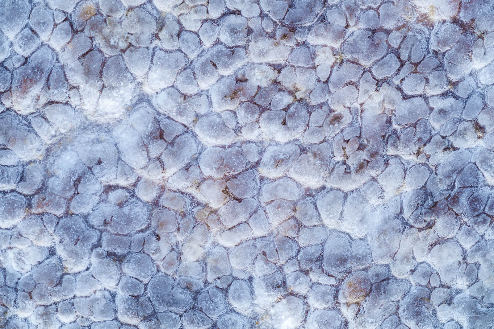 Unique patterns on the desert floor resemble snake scales.