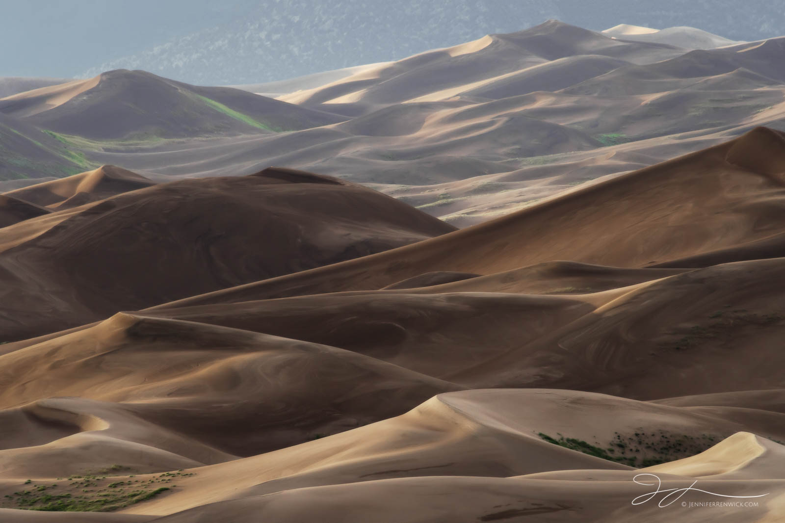 The Great Sand Dunes dry in the sun after a summer storm.