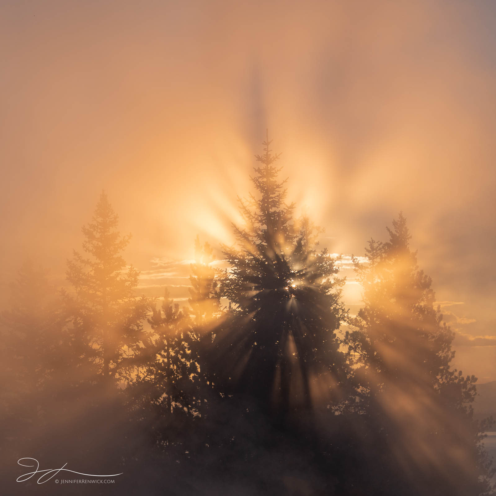 The rising sun creates beams of light through the steam in West Thumb Geyser Basin.