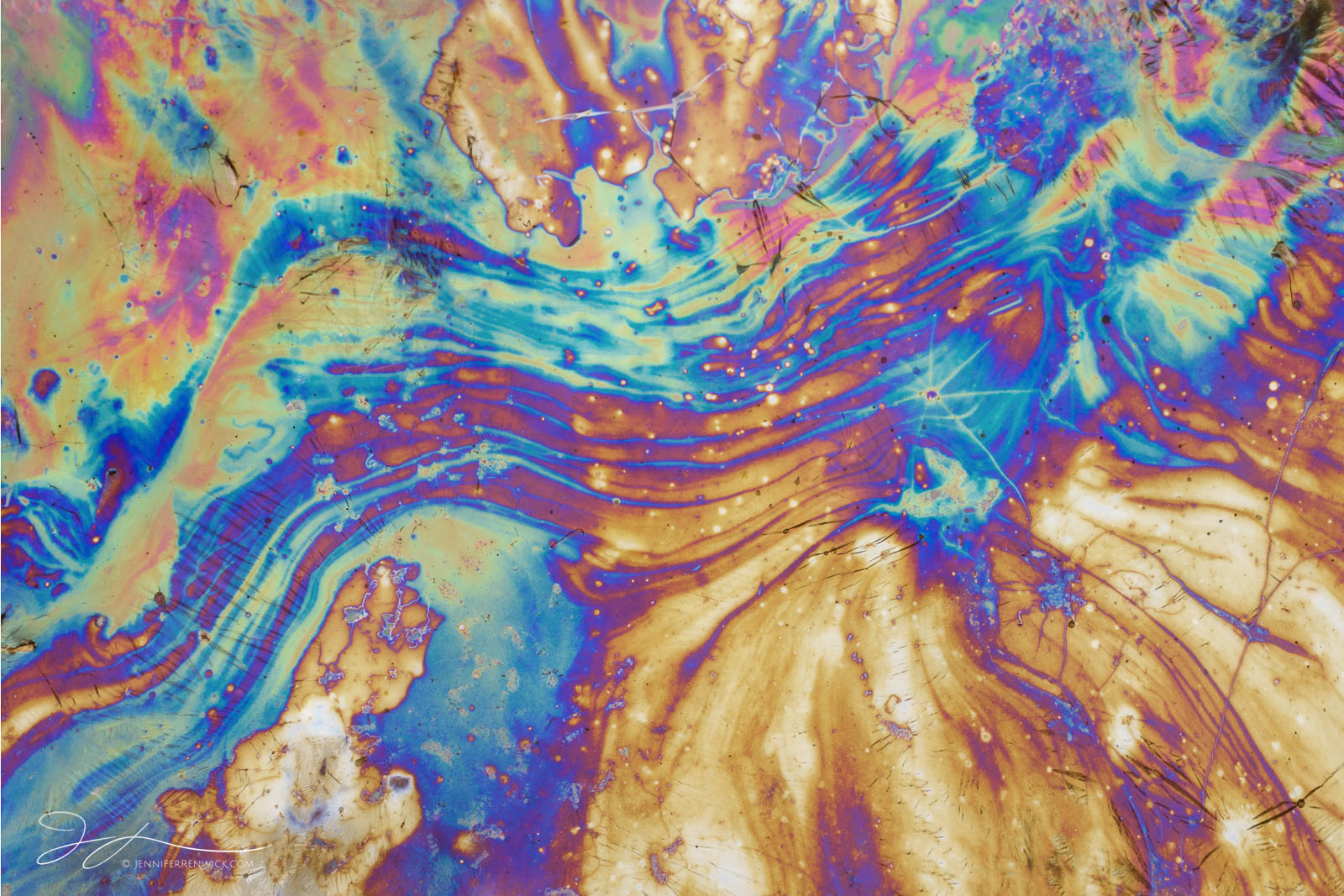 An explosion of highly colored natural oils creates a tie-dye pattern.