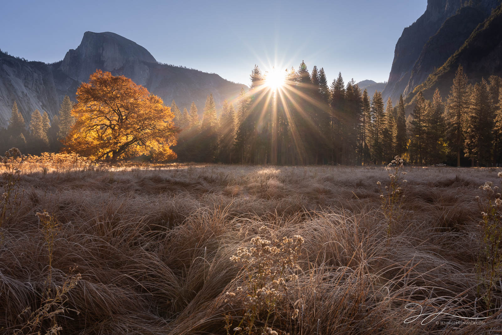 The sun rises, radiating light and warmth on a frosty morning in Cook's Meadow in Yosemite National Park.