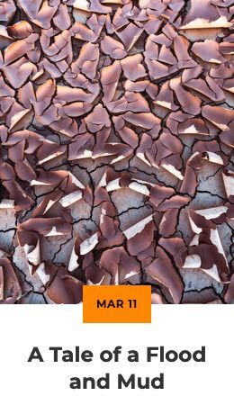 A Tale of Flood and Mud